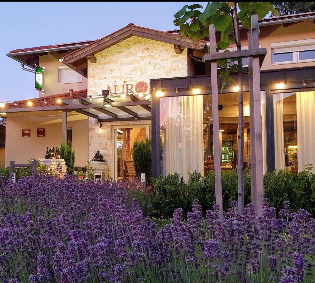 Aurora Panzio Bed & Breakfast Buk Ngoại thất bức ảnh