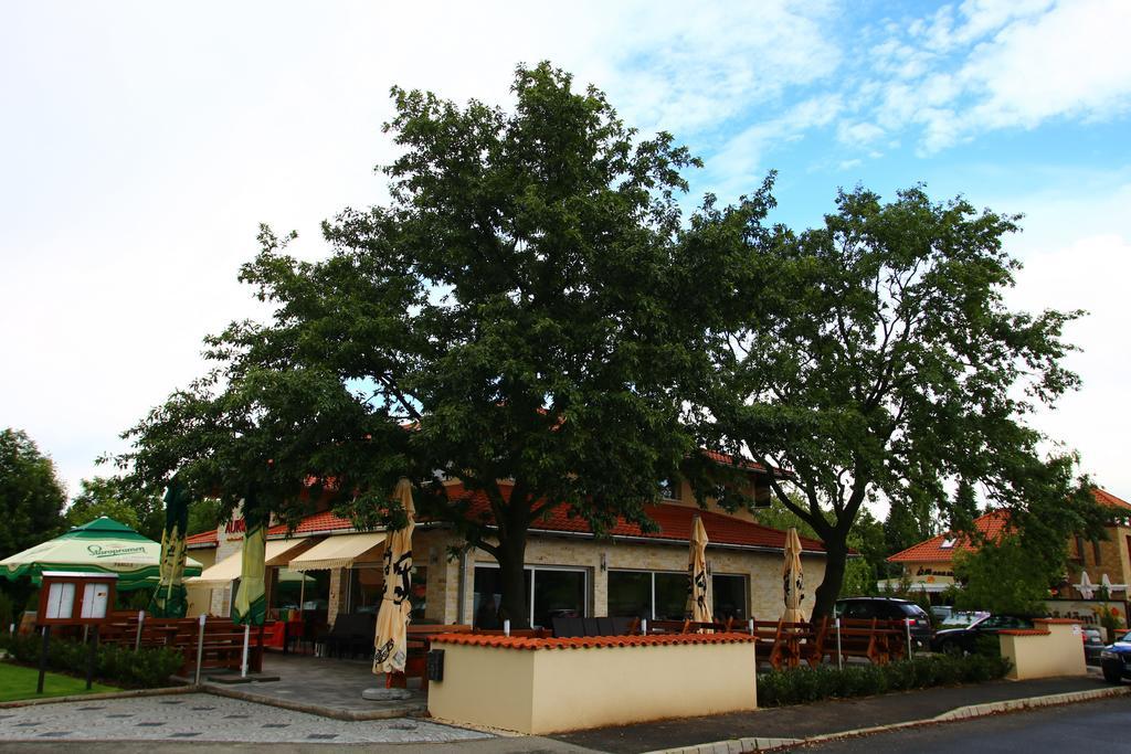 Aurora Panzio Bed & Breakfast Buk Ngoại thất bức ảnh