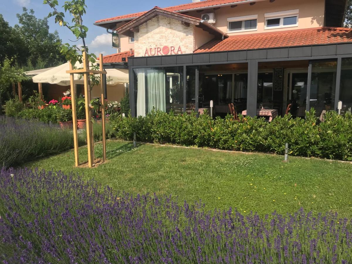 Aurora Panzio Bed & Breakfast Buk Ngoại thất bức ảnh